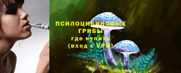 дмт Алексеевка