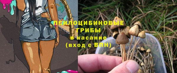прущая мука Рославль