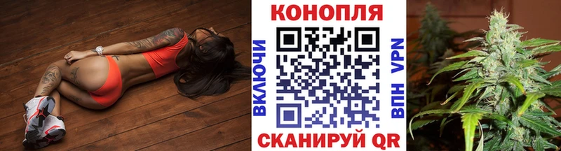 хочу наркоту  Котовск  Бошки Шишки SATIVA & INDICA 
